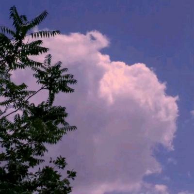 霸略征战九游下载